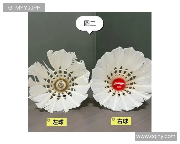 科学羽毛球训练揭秘：提升速度的有效方法与技巧分享