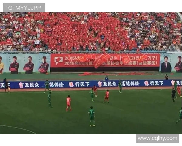 北京网球队在联合会杯中的节奏表现分析与点评