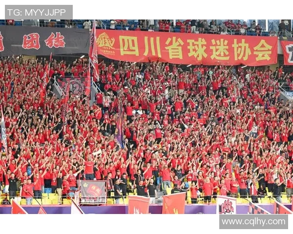 成都排球队灵活性引发热议球迷与专家观点碰撞激烈