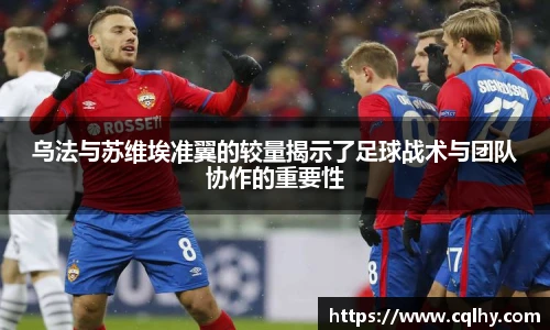 bsports登录入口