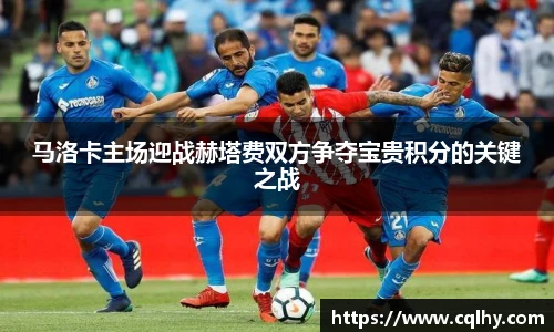 bsports登录入口